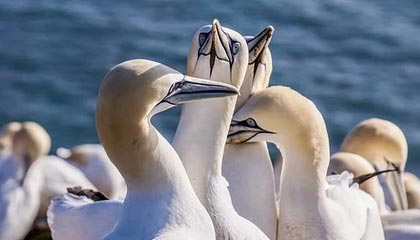 华泰证券（上海）资产管理有限公司 关于旗下基金持有的长期停牌股票估值调整的公告