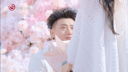黄子韬与未婚妻严正声明
