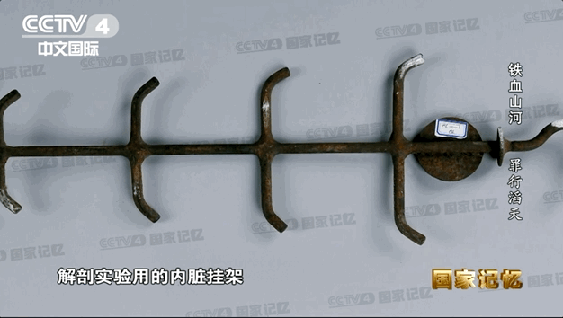 不可饶恕！七三一部队在战后几乎全身而退……