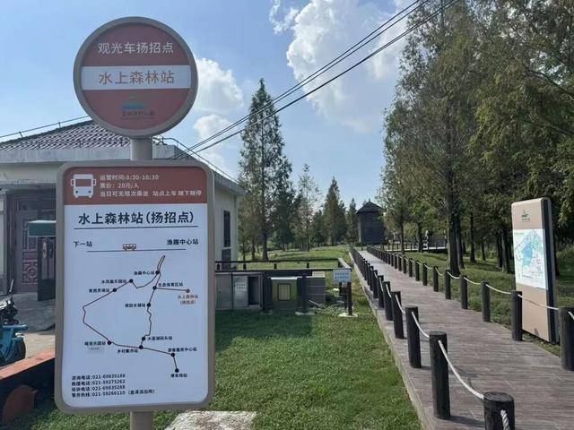 上海著名地标宣布:24小时内可免费停车!