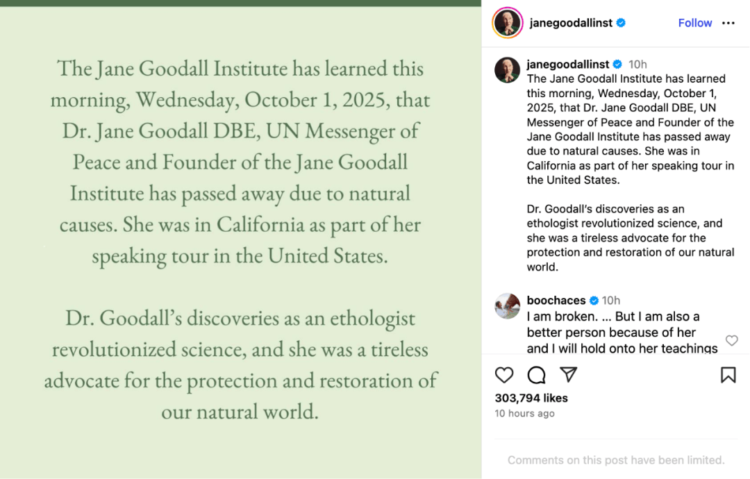 珍·古道尔:她无法看着动物受苦,就像没法看着人类受苦|逝者