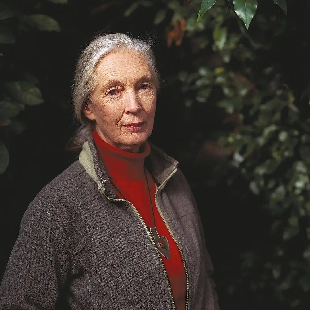 珍·古道尔:她无法看着动物受苦,就像没法看着人类受苦|逝者