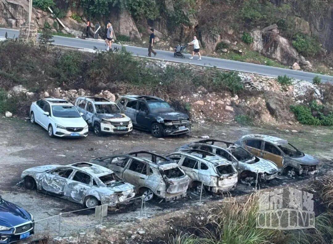 一电动汽车突然起火，致多车被烧毁！官方回应