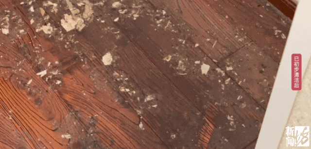 上海一业主推开家门瞬间懵了!精装房竟成“化粪池”……