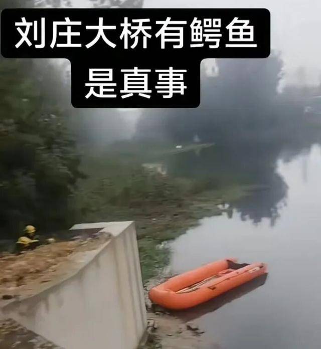 山东一河道出现鳄鱼?目击者:体长超1米,体重约四五十斤,消防人员乘皮划艇拉网排查,最新进展