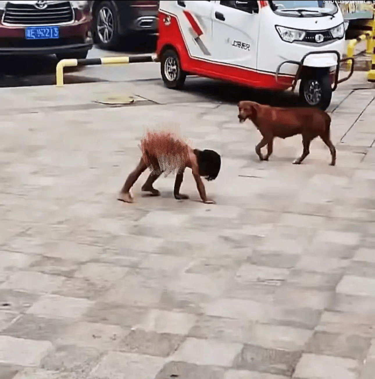 家人同意不让野人小孩赤裸爬行，关键疑点还没查清