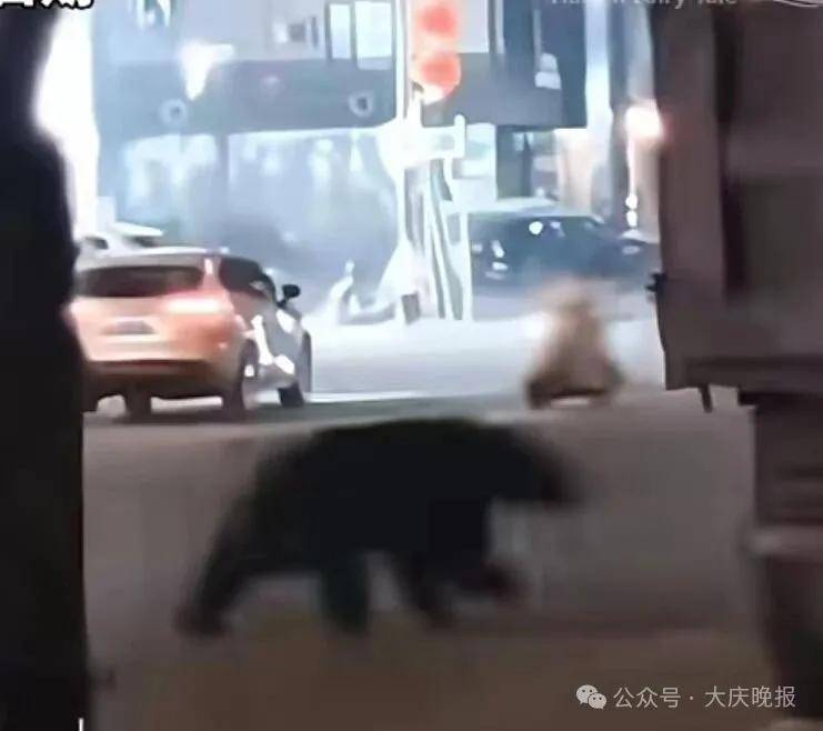 当场击毙！东北此地突发