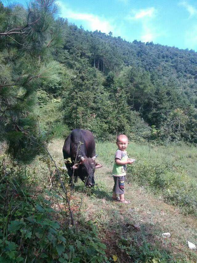 娄底14岁初中生作文看哭全网,得知爆火首先看恶评,回应用AI质疑:算是另一种夸奖