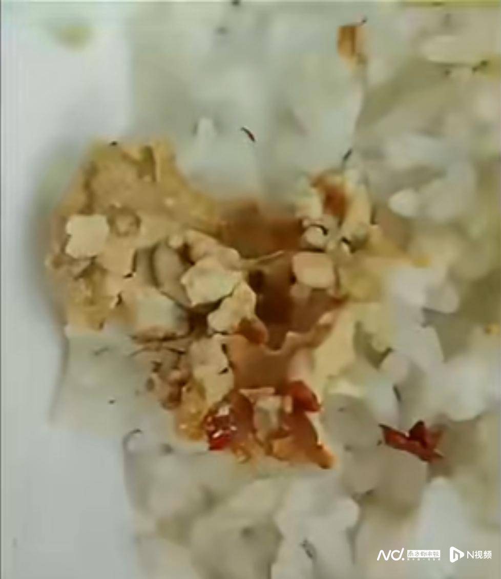 事发佛山！有市民网购的豆腐乳内有蛆虫蠕动