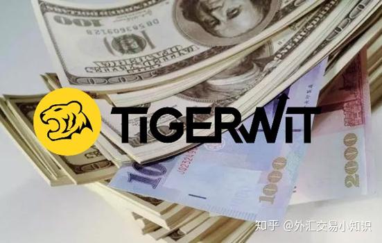 外汇投资入门与技巧(外汇投资交易从新手到高手)