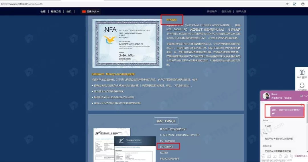 外汇nfa(外汇NFT交易是什么意思)