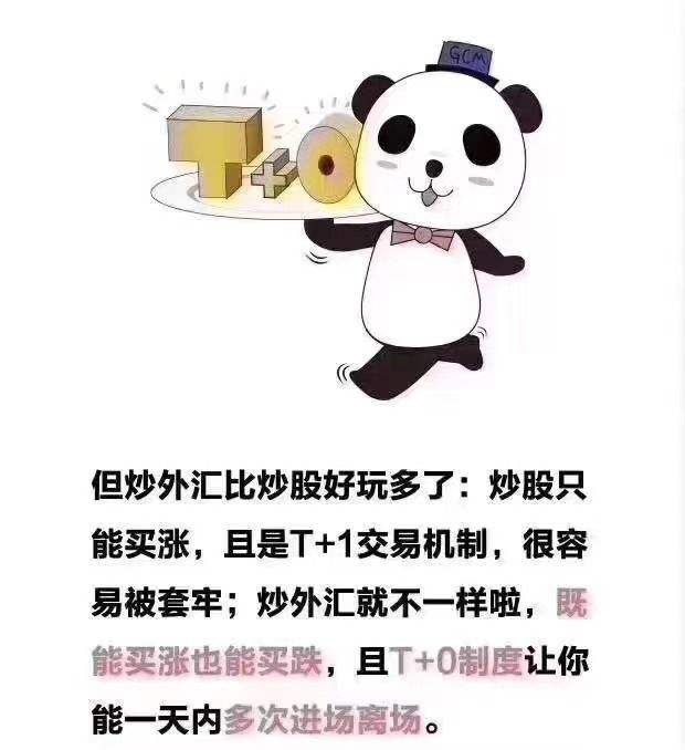 不做外汇(不做外贸业务员还能做什么)