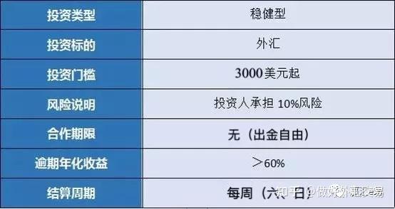 外汇计算利润(外汇的盈利率怎么算)