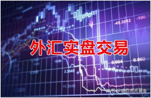 个人外汇实盘(个人外汇实盘业务目标客群为中高风险承受能力的客户)