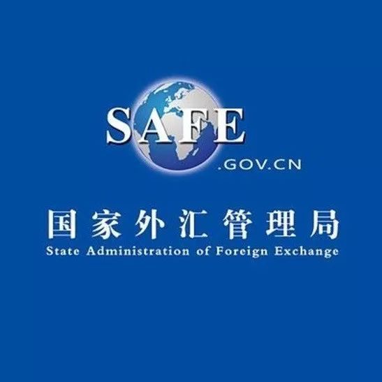 外汇局处罚(外汇局处罚且情节严重的)