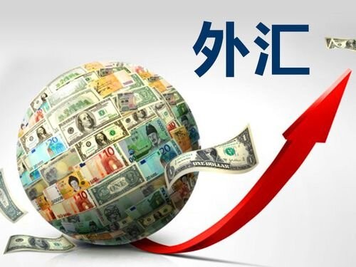 外汇支付平台(外汇交易平台支付)