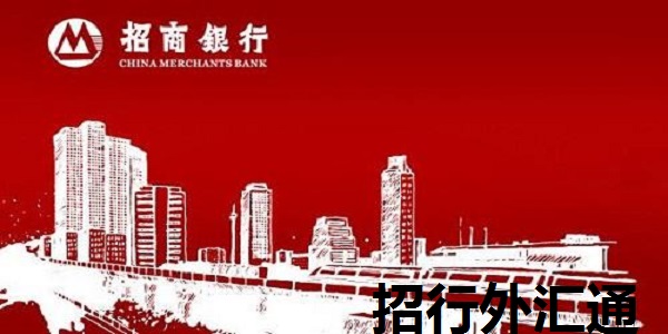 外汇通网站(外汇通道交易系统)