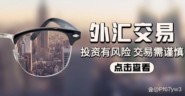 互联网外汇交易平台(网络外汇交易平台在我国是否合法?)