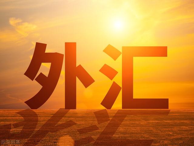 出国外汇(出国外汇核销什么意思啊)