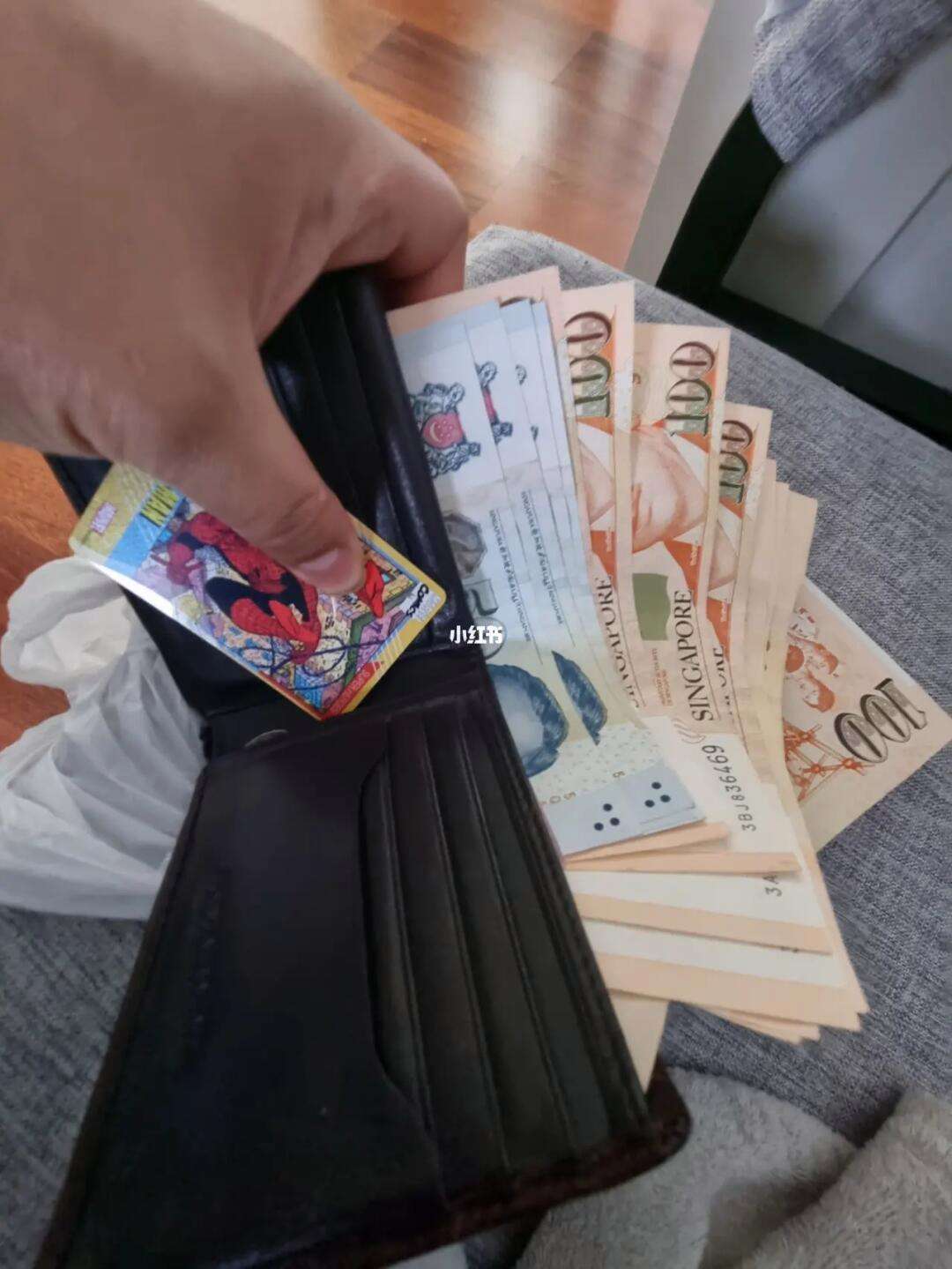 币新(币新加坡币等于多少人民币)