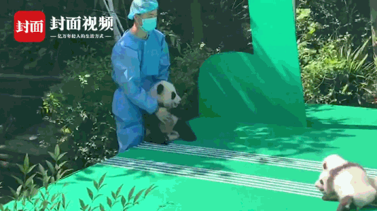 讯齐(讯齐交易所是诈骗平台吗)