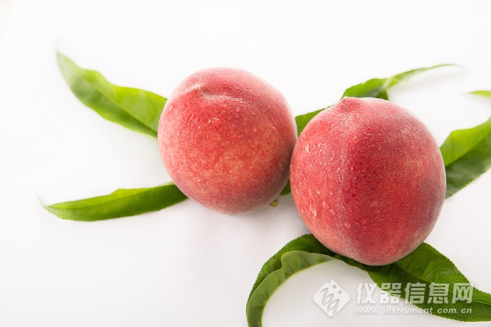 桃子(桃子是凉性还是热性)
