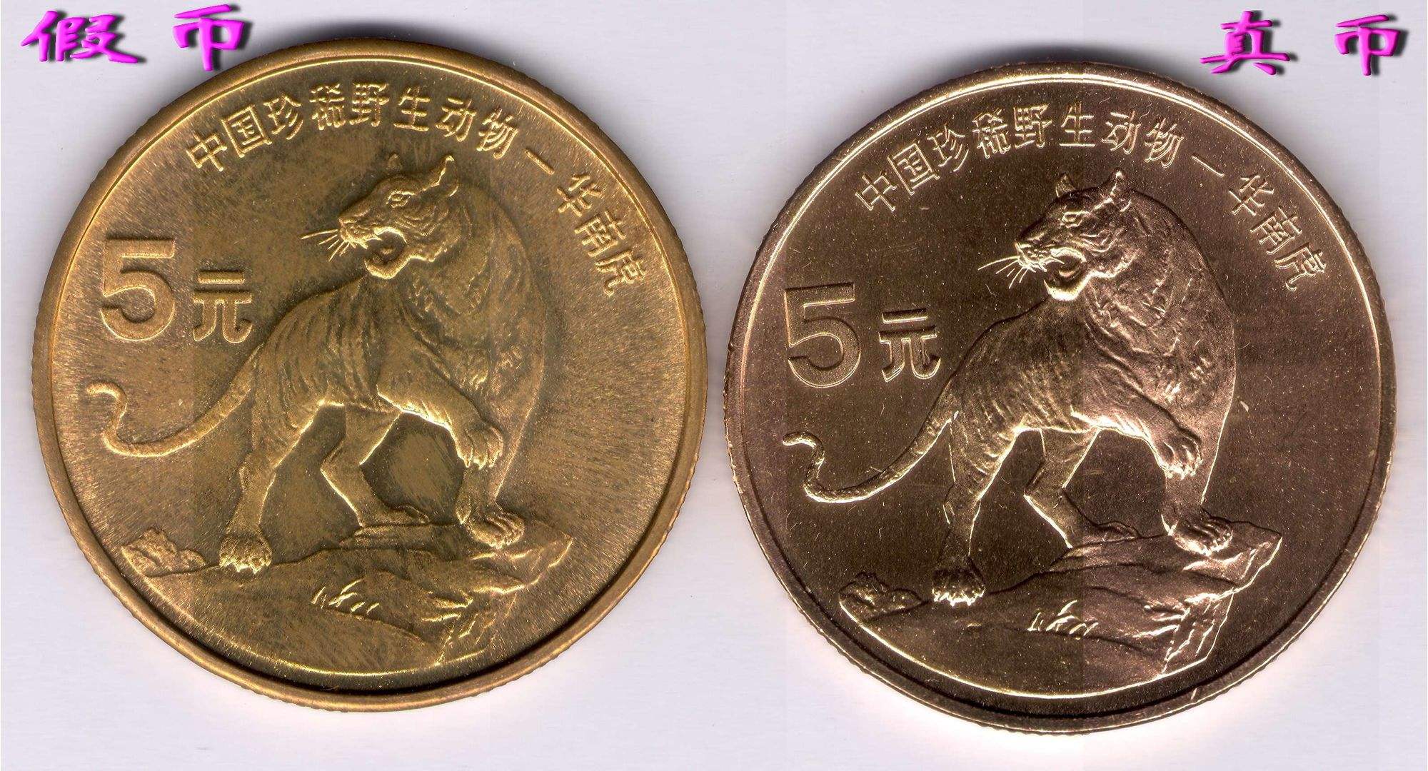币虎(币虎网官网)