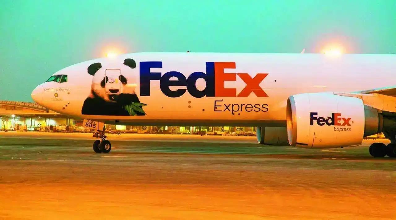 FDEX(f的小写怎么写四线三格)
