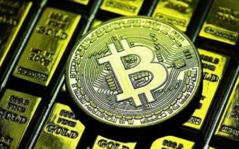 二狗币(二狗币最新价格与行情)